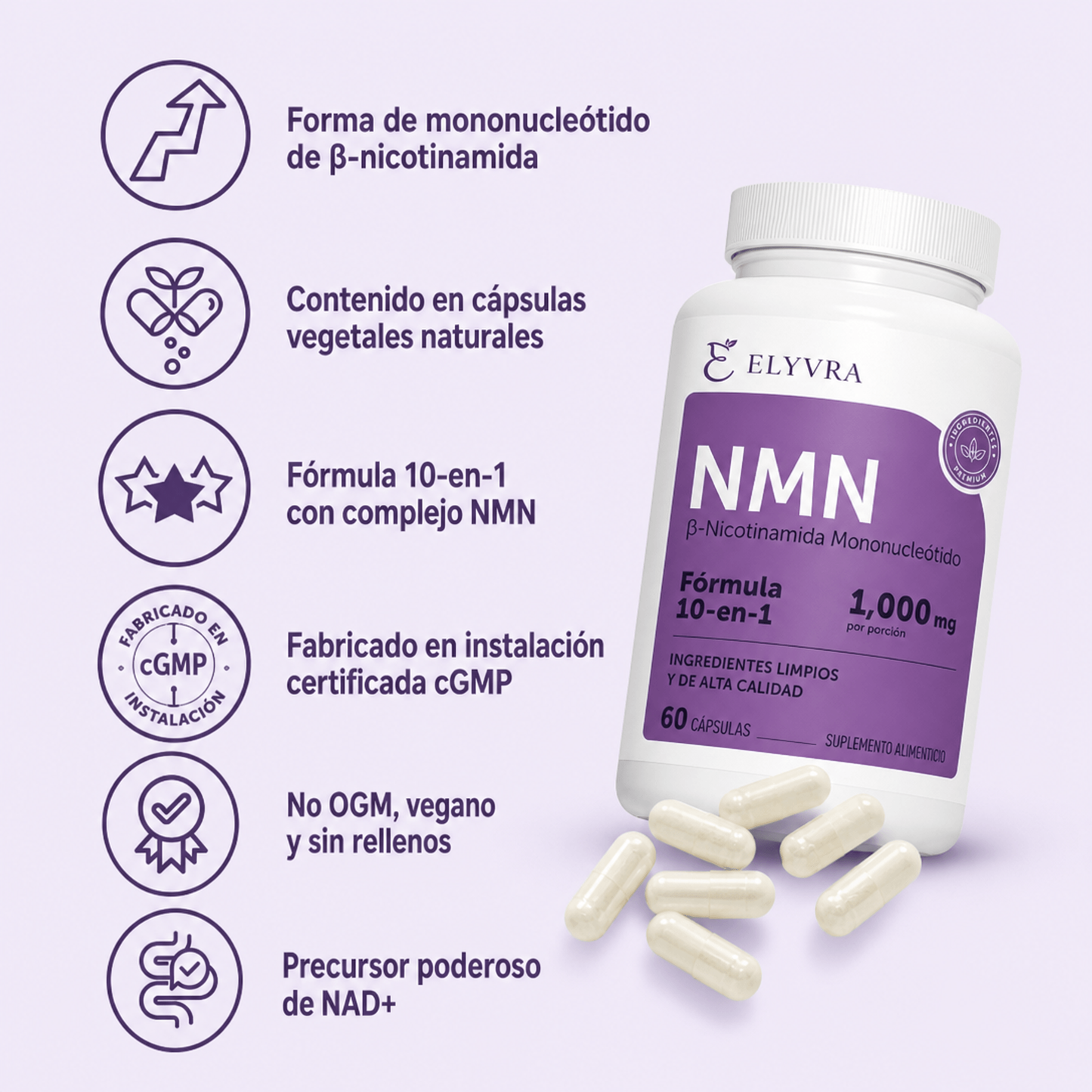 NMN Memoria | Mejora la concentración y vitalidad cerebral